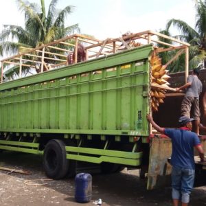 Jasa Pembuatan Patung Batu Jasa Ukir Patung Jasa Patung Resin