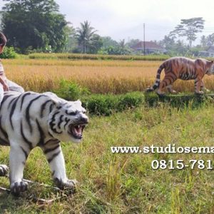 Foto Patung Macan Lucu Foto Patung Macan Patung Macan Gagal